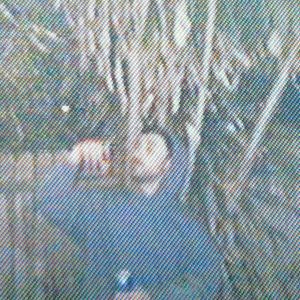 Meet your Posher, Jared